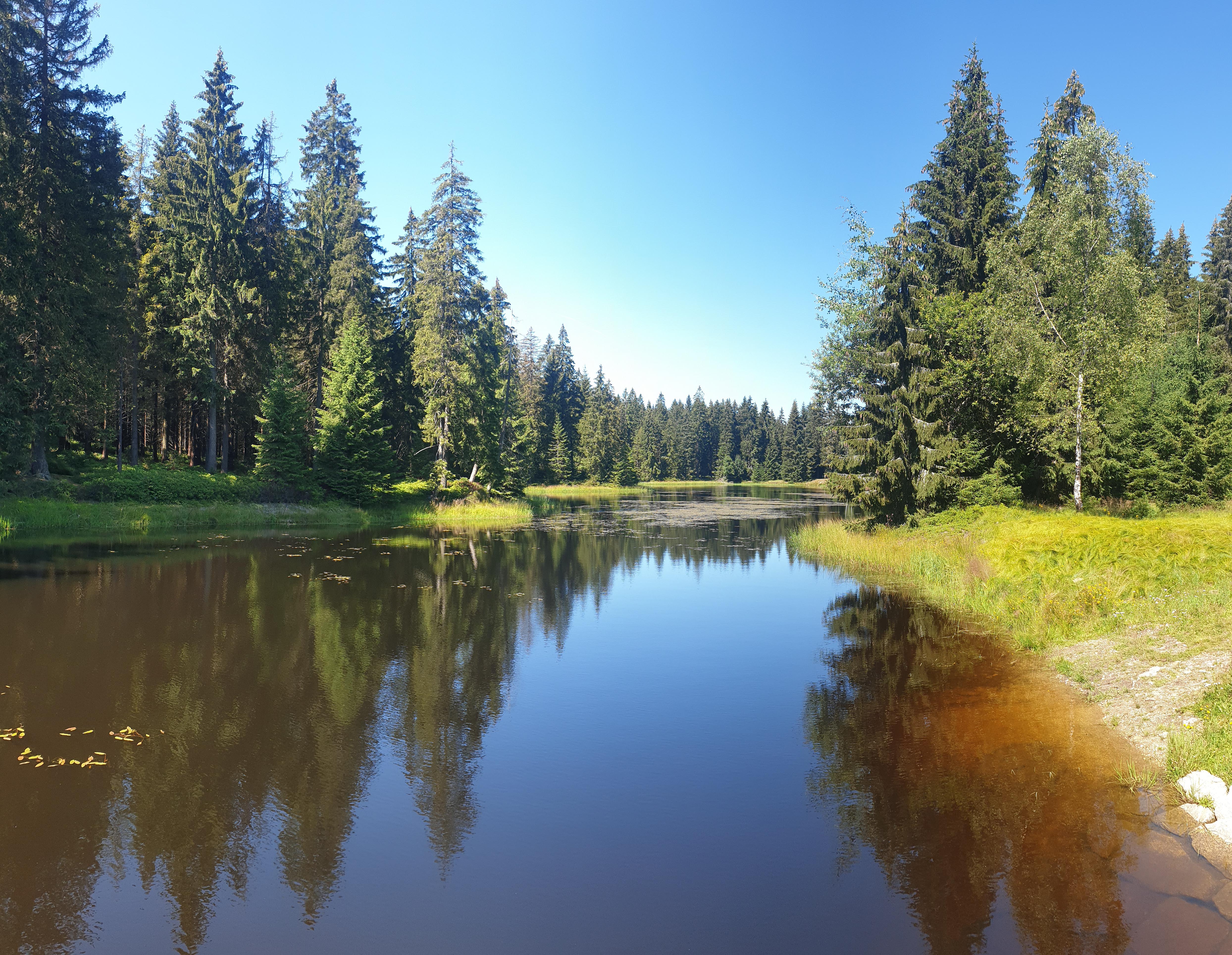 Léto v Jizerkách - pohled na Blatný rybník poblíž Nové louky