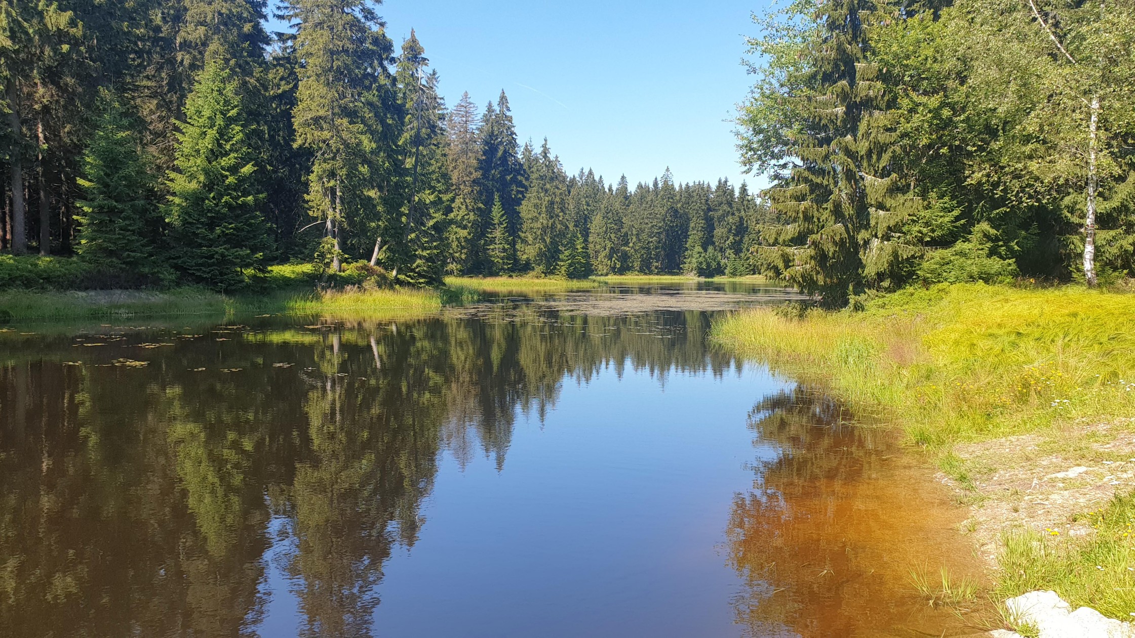 Blatný rybník v létě